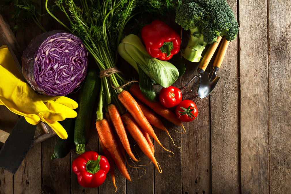 Assorted Fresh Vegetables on Wooden Table